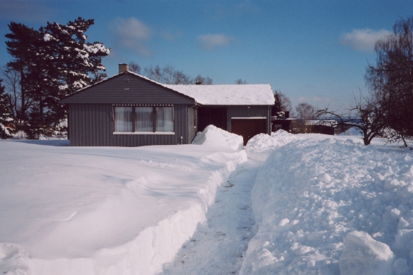 Vinterdag på Gårdbo